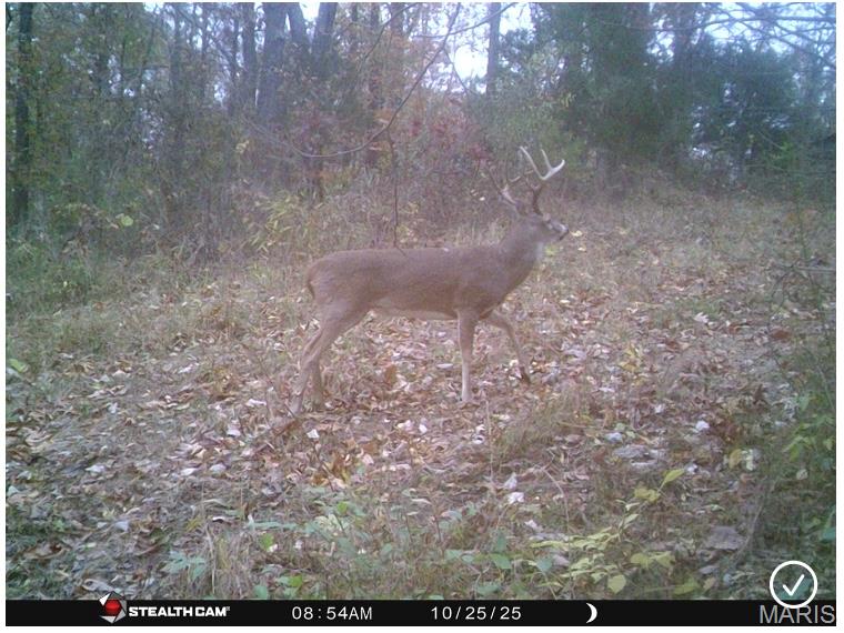 3040 Texaco Lane Salem, IL 62881 - Photo 13 of 98