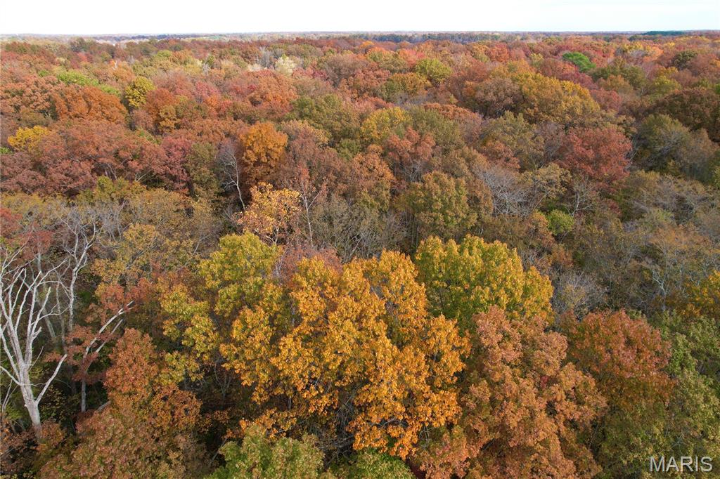 3040 Texaco Lane Salem, IL 62881 - Photo 18 of 85