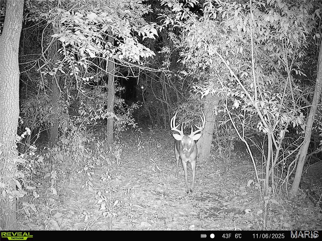 3040 Texaco Lane Salem, IL 62881 - Photo 2 of 98