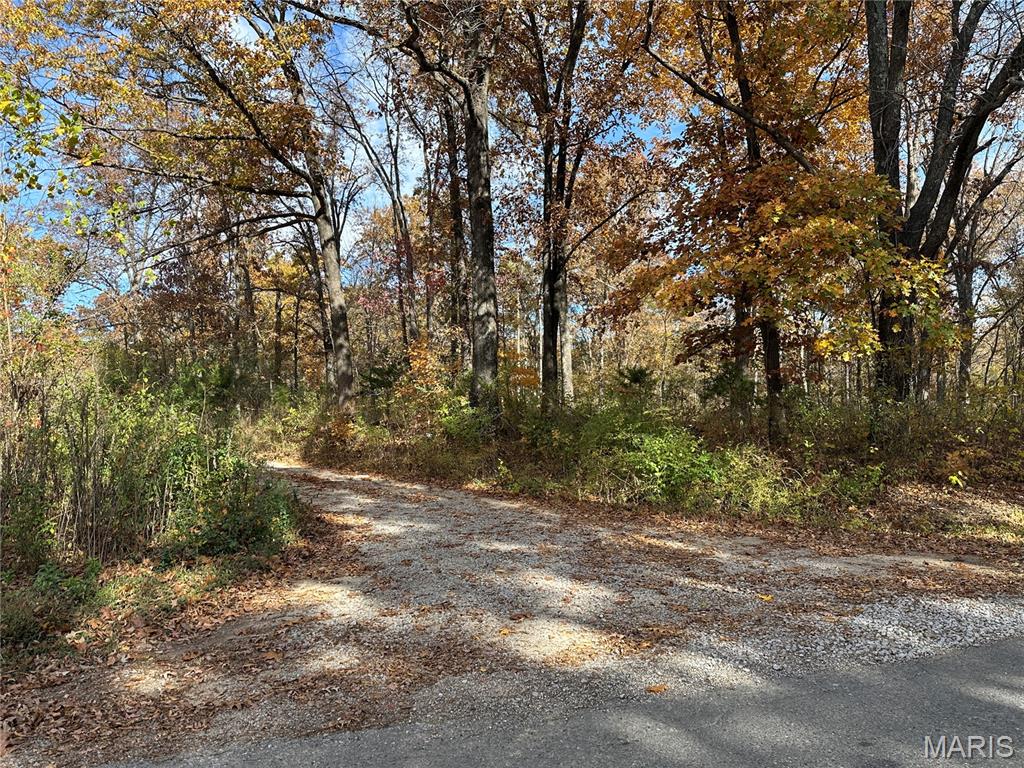 3040 Texaco Lane Salem, IL 62881 - Photo 29 of 85