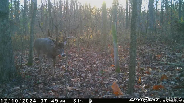 $228,000 | 3040 Texaco Lane, Salem, IL 62881