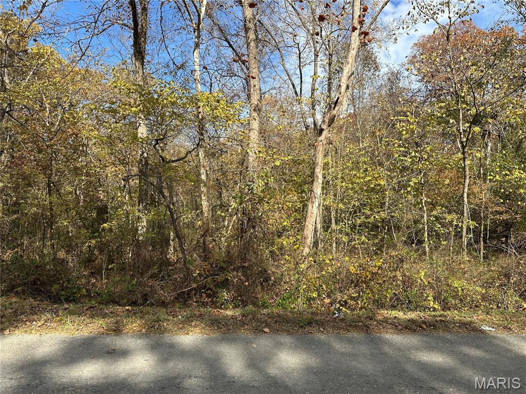 3040 Texaco Lane Salem, IL 62881 - Photo 32 of 85