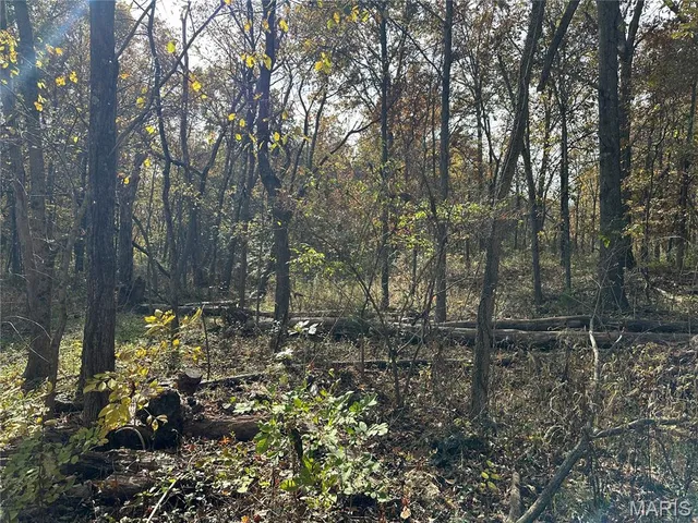 $228,000 | 3040 Texaco Lane, Salem, IL 62881