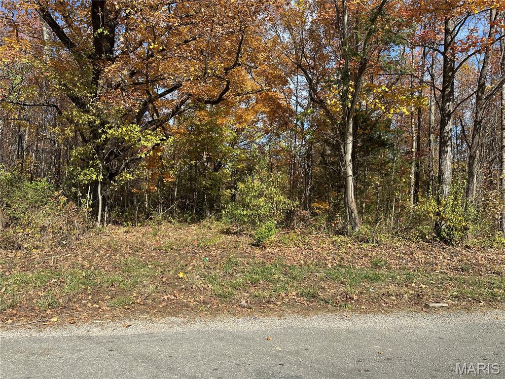 3040 Texaco Lane Salem, IL 62881 - Photo 36 of 98