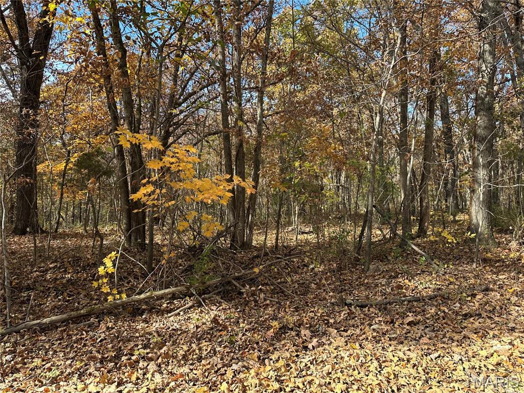 3040 Texaco Lane Salem, IL 62881 - Photo 38 of 85