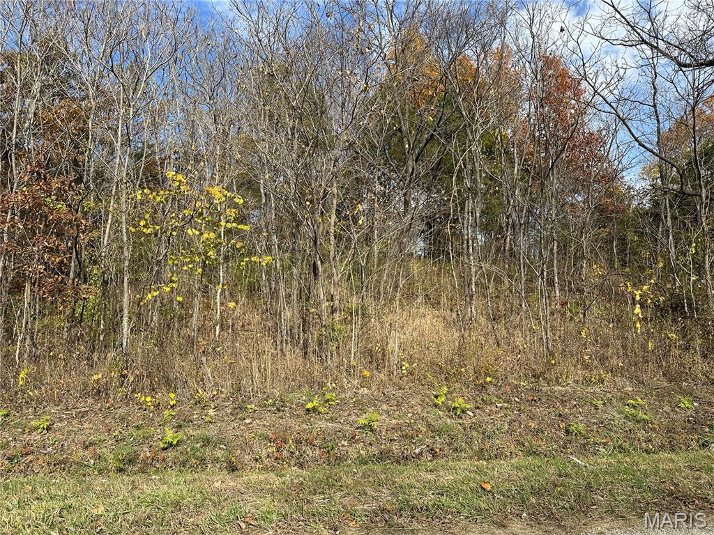 3040 Texaco Lane Salem, IL 62881 - Photo 41 of 98