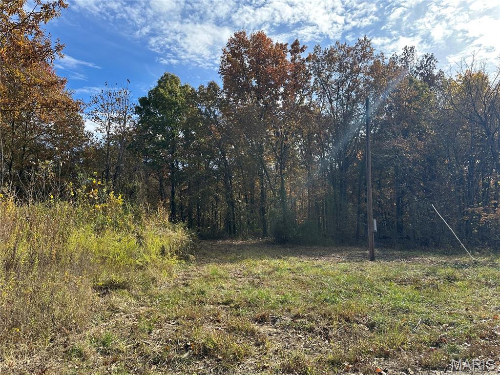 3040 Texaco Lane Salem, IL 62881 - Photo 43 of 85