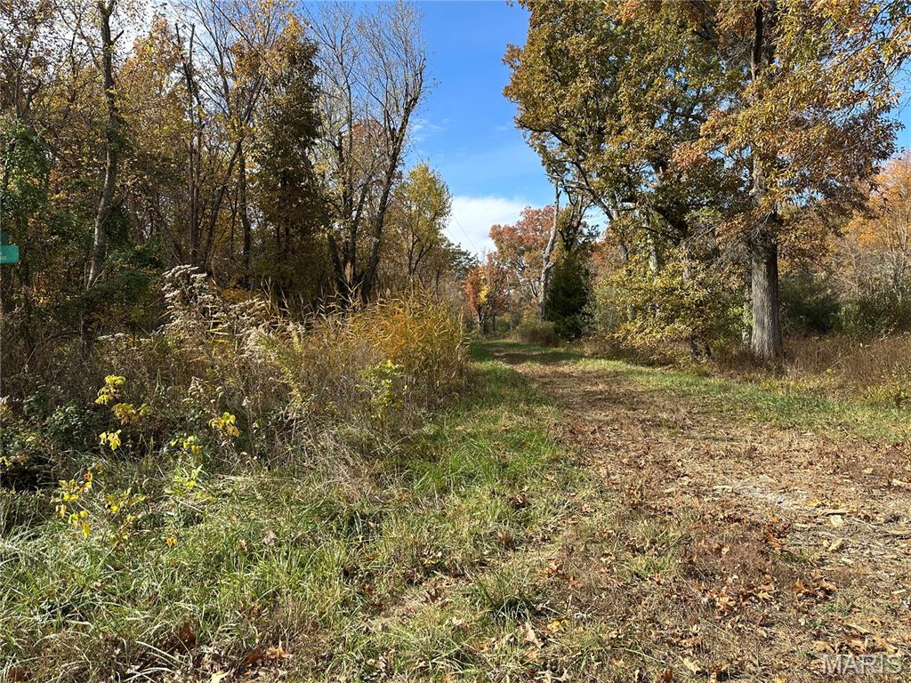 3040 Texaco Lane Salem, IL 62881 - Photo 47 of 98