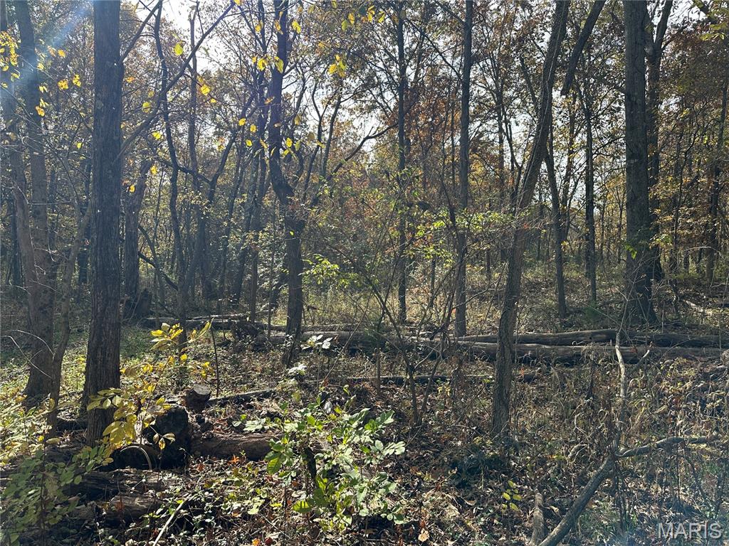 3040 Texaco Lane Salem, IL 62881 - Photo 48 of 98