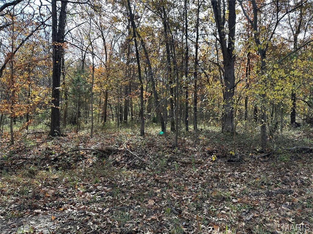 3040 Texaco Lane Salem, IL 62881 - Photo 49 of 98