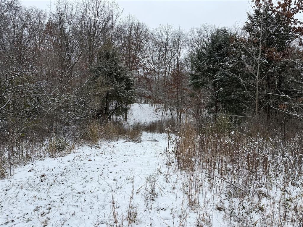 3040 Texaco Lane Salem, IL 62881 - Photo 51 of 85