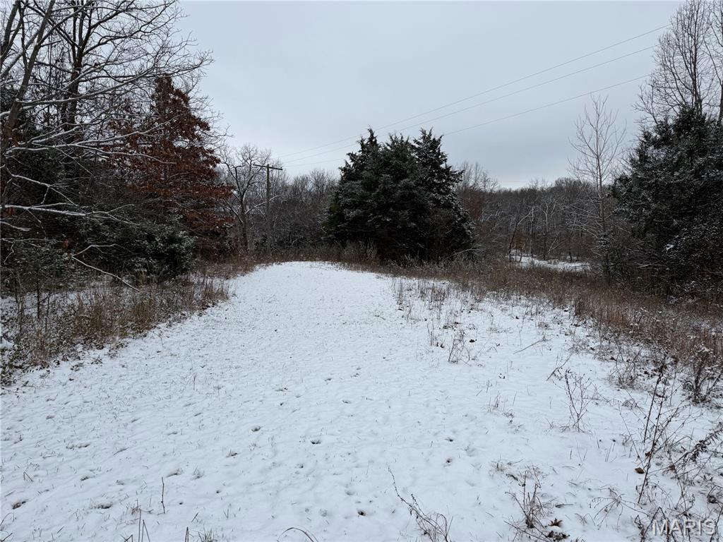 3040 Texaco Lane Salem, IL 62881 - Photo 52 of 85