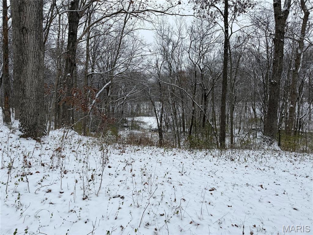 3040 Texaco Lane Salem, IL 62881 - Photo 56 of 85