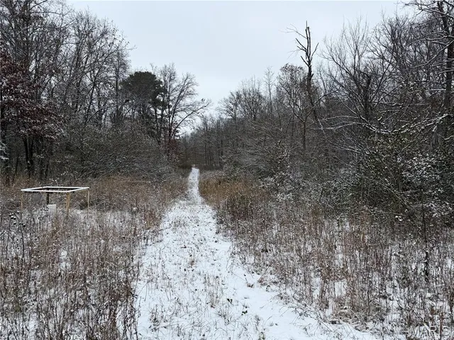 $228,000 | 3040 Texaco Lane, Salem, IL 62881