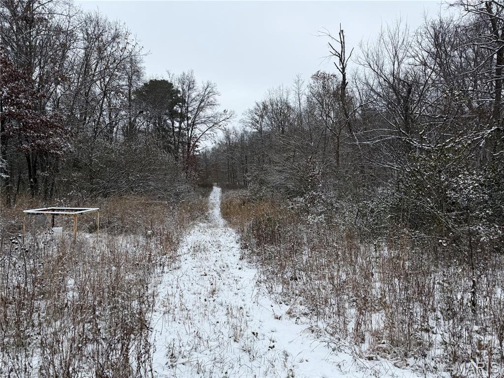 3040 Texaco Lane Salem, IL 62881 - Photo 59 of 98