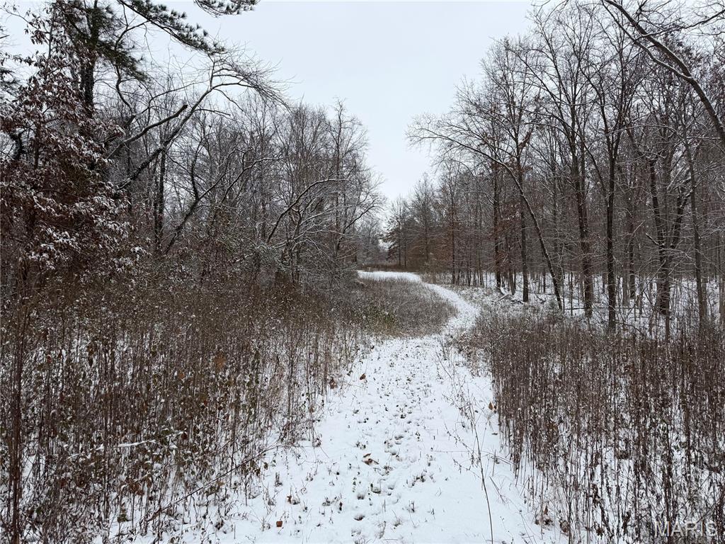 3040 Texaco Lane Salem, IL 62881 - Photo 59 of 85