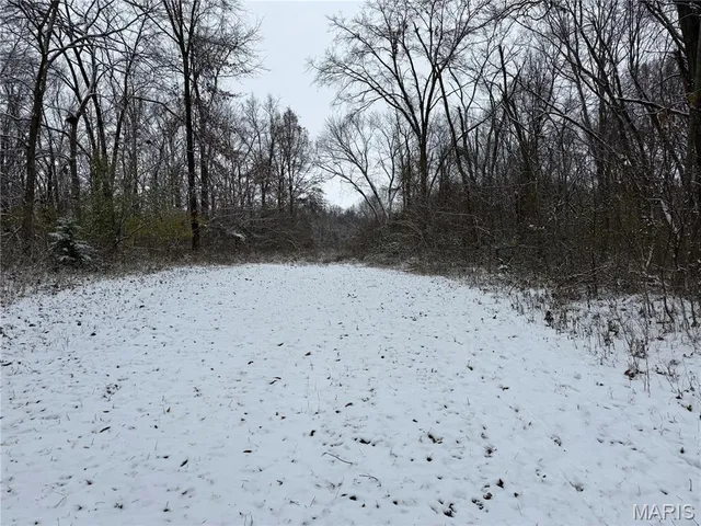 $228,000 | 3040 Texaco Lane, Salem, IL 62881