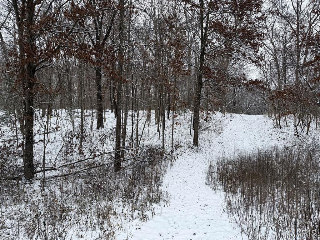 3040 Texaco Lane Salem, IL 62881 - Photo 63 of 98