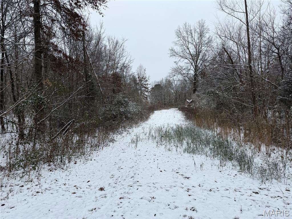 3040 Texaco Lane Salem, IL 62881 - Photo 64 of 85