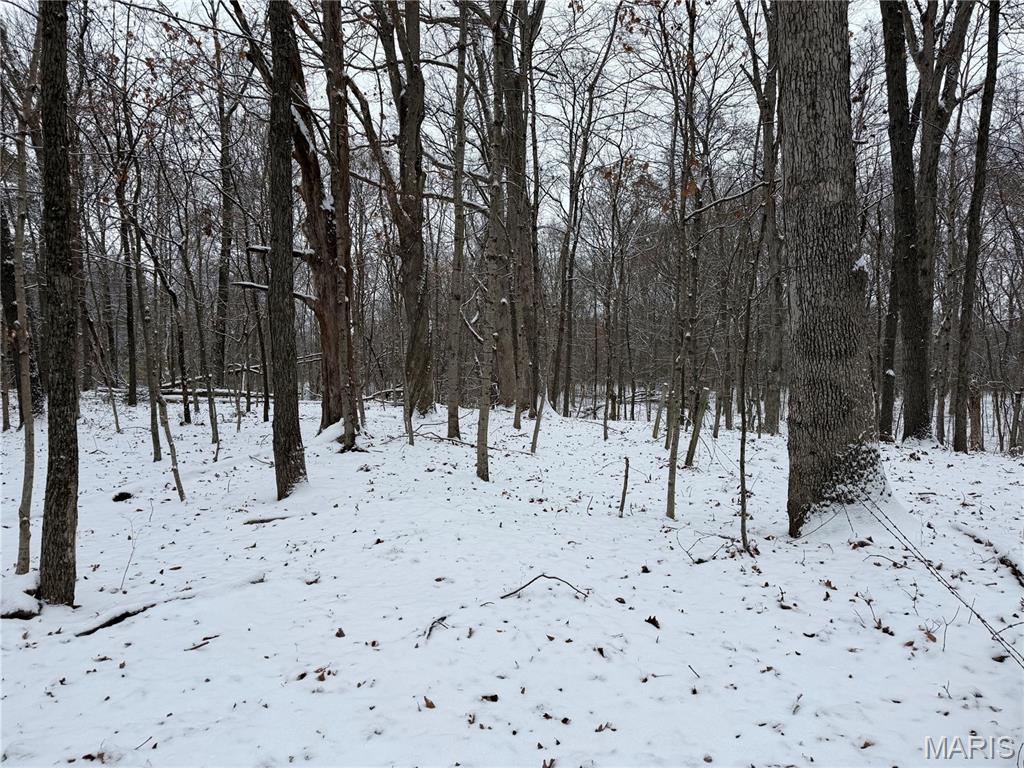 3040 Texaco Lane Salem, IL 62881 - Photo 66 of 98