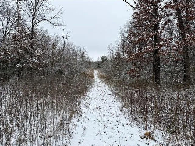 $228,000 | 3040 Texaco Lane, Salem, IL 62881