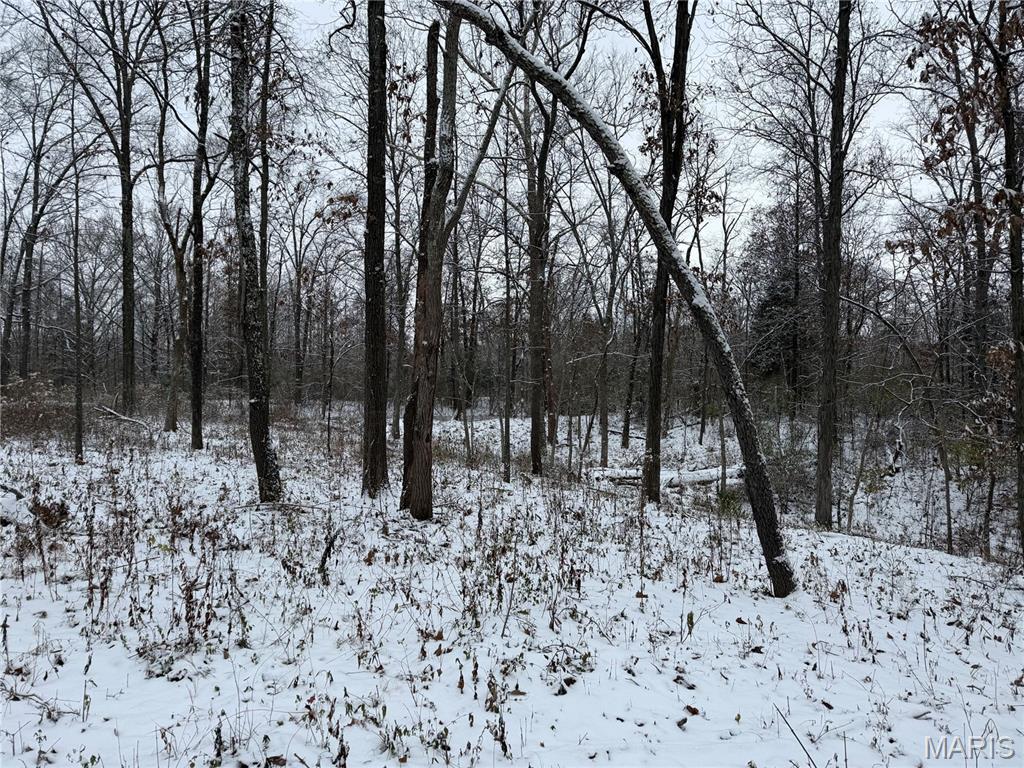 3040 Texaco Lane Salem, IL 62881 - Photo 67 of 85