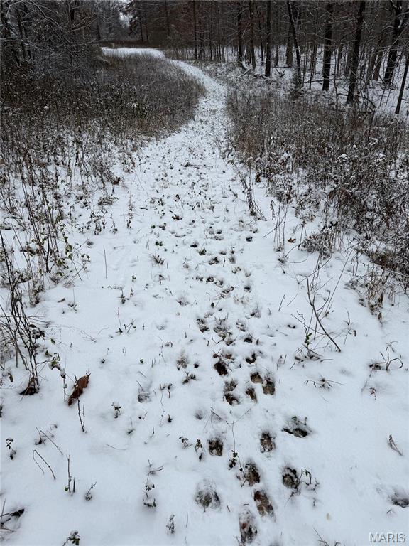 3040 Texaco Lane Salem, IL 62881 - Photo 69 of 98