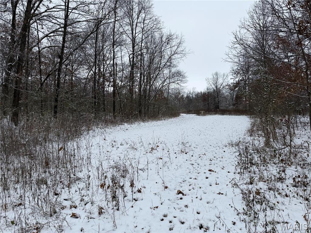 3040 Texaco Lane Salem, IL 62881 - Photo 70 of 98