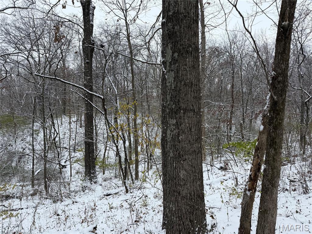 3040 Texaco Lane Salem, IL 62881 - Photo 70 of 85