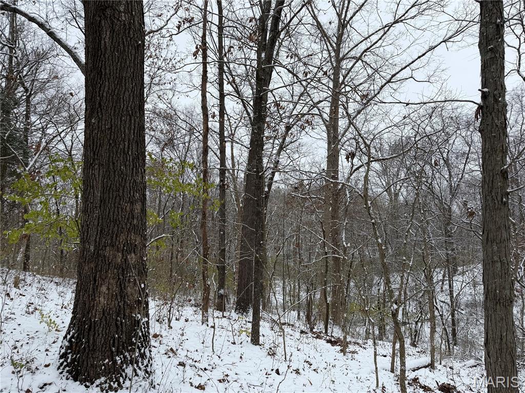 3040 Texaco Lane Salem, IL 62881 - Photo 72 of 85