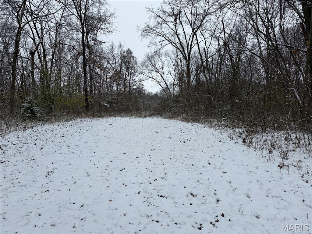 3040 Texaco Lane Salem, IL 62881 - Photo 72 of 98