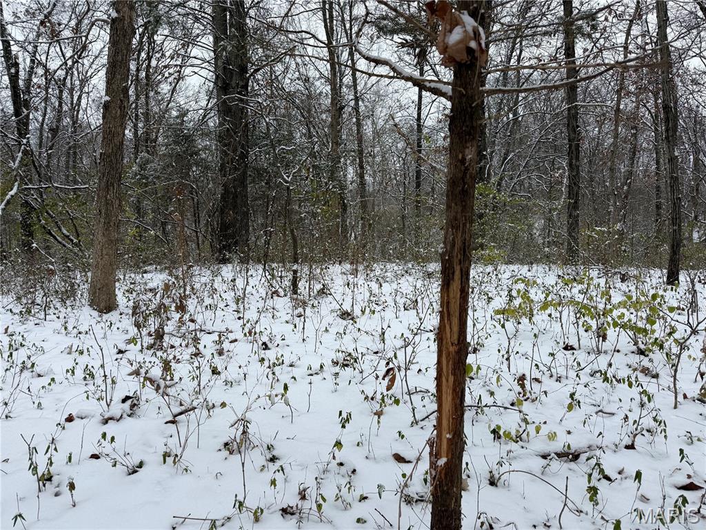 3040 Texaco Lane Salem, IL 62881 - Photo 76 of 85