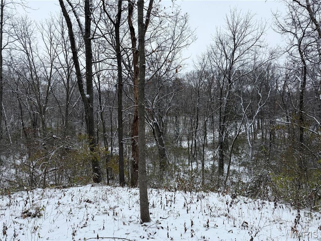 3040 Texaco Lane Salem, IL 62881 - Photo 77 of 98