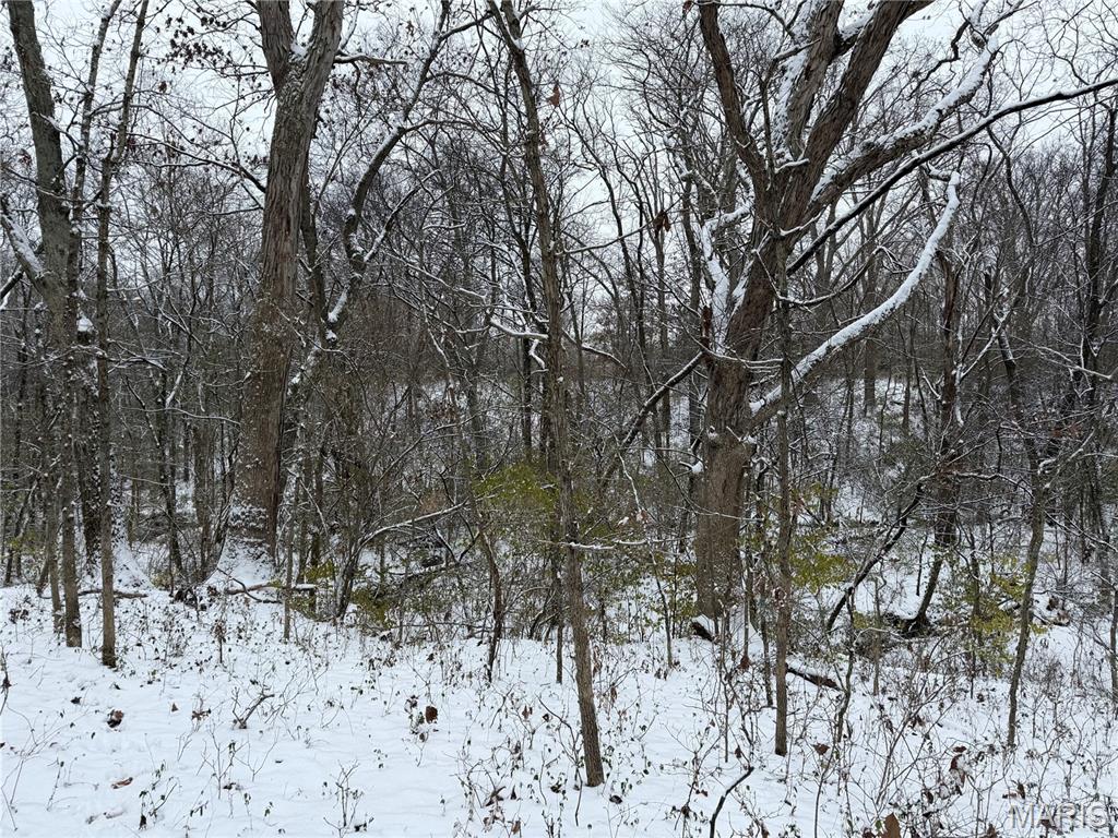 3040 Texaco Lane Salem, IL 62881 - Photo 80 of 85