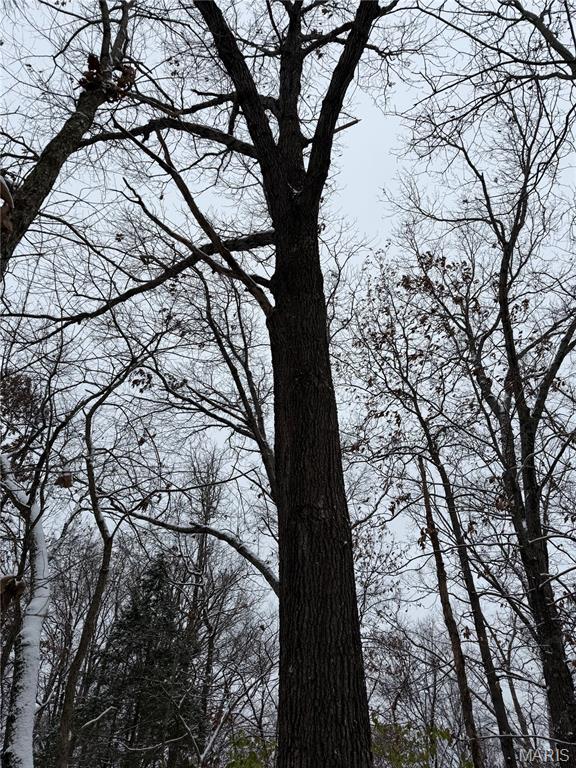 3040 Texaco Lane Salem, IL 62881 - Photo 82 of 98