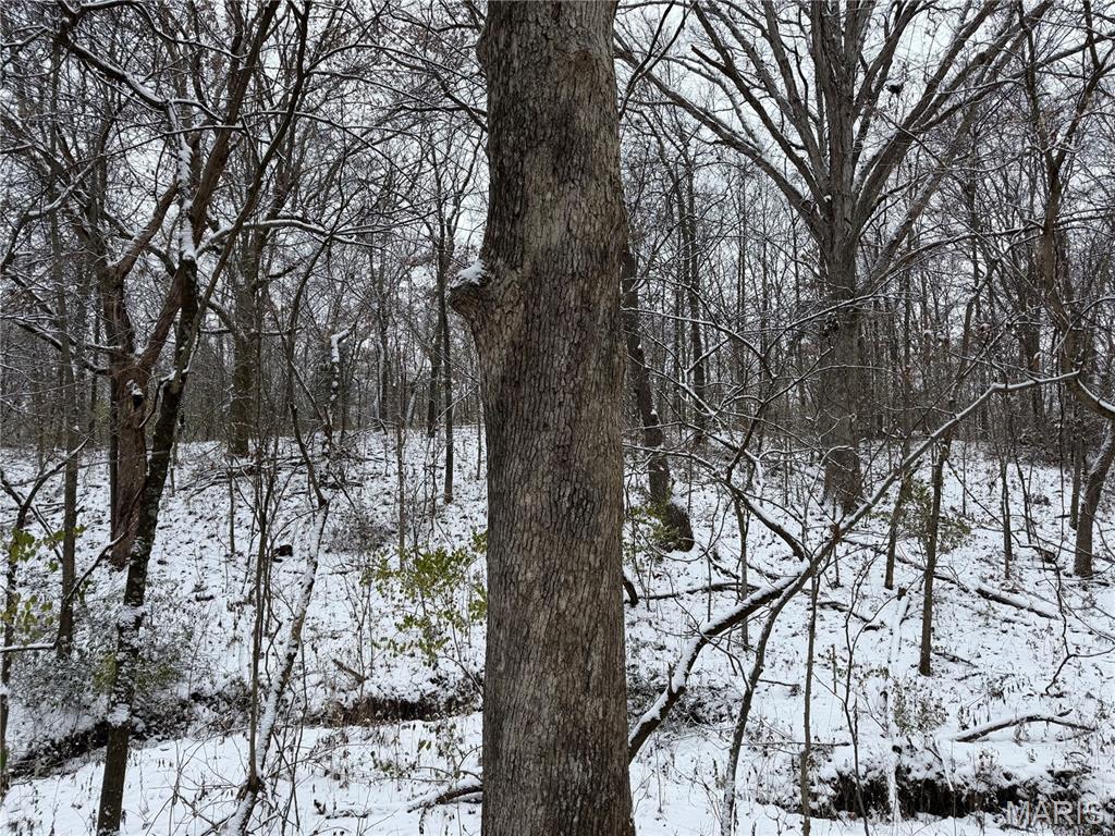 3040 Texaco Lane Salem, IL 62881 - Photo 83 of 98