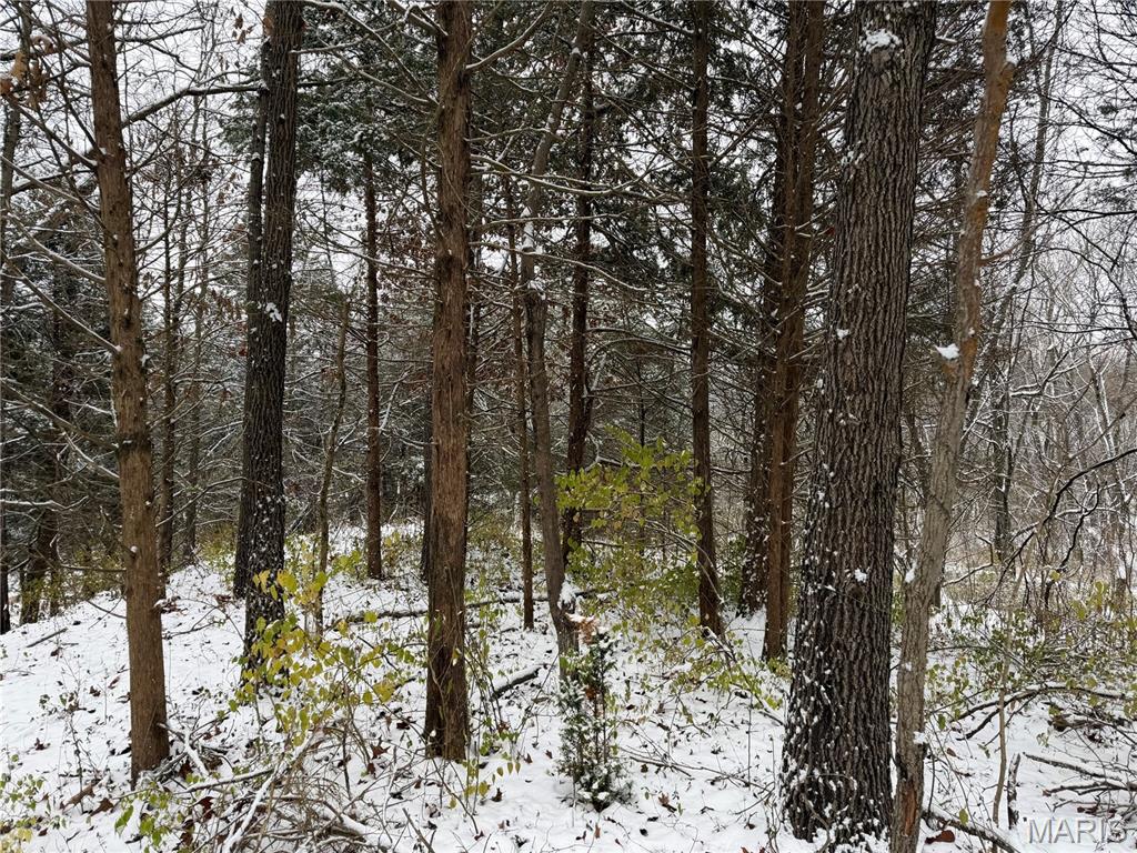 3040 Texaco Lane Salem, IL 62881 - Photo 83 of 85