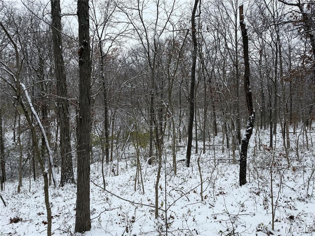 3040 Texaco Lane Salem, IL 62881 - Photo 84 of 98