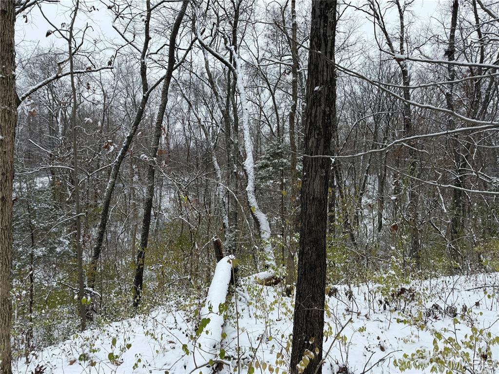 3040 Texaco Lane Salem, IL 62881 - Photo 86 of 98