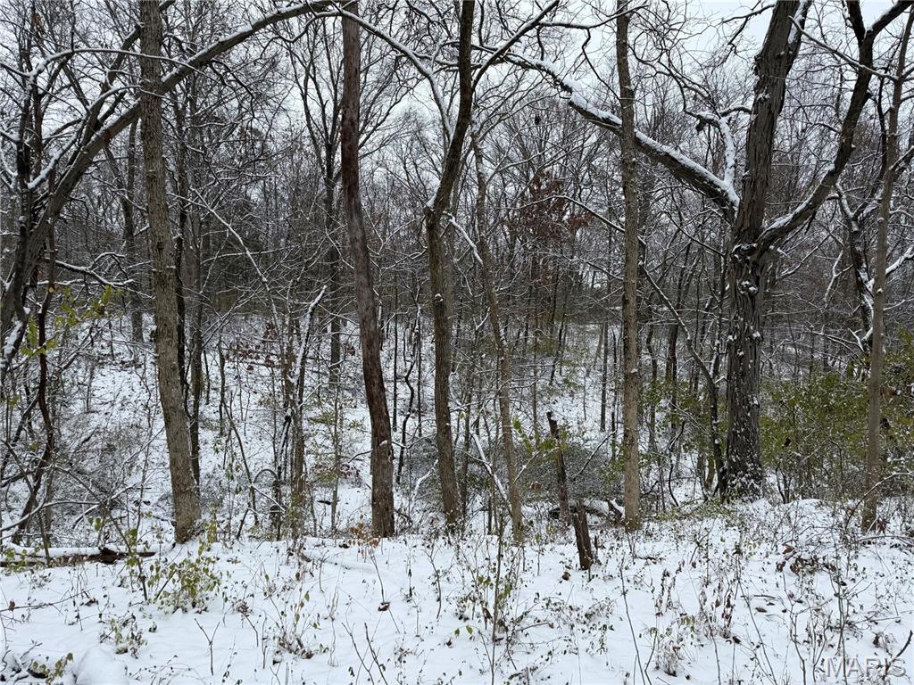 3040 Texaco Lane Salem, IL 62881 - Photo 87 of 98