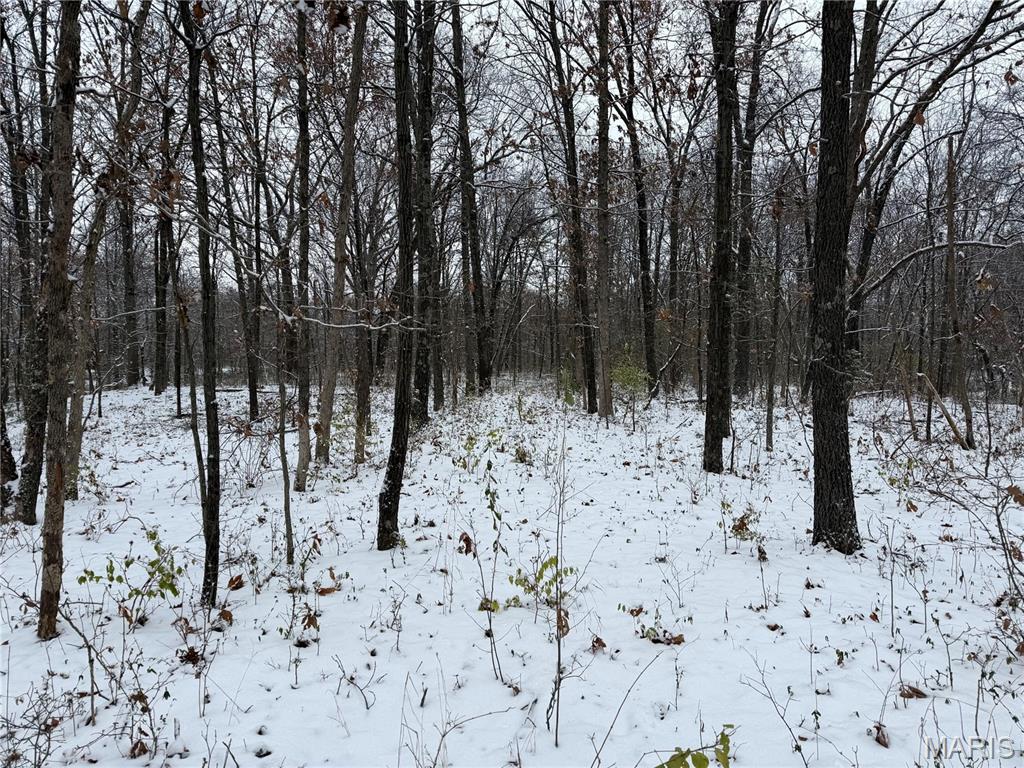 3040 Texaco Lane Salem, IL 62881 - Photo 88 of 98