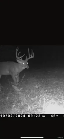 $228,000 | 3040 Texaco Lane, Salem, IL 62881