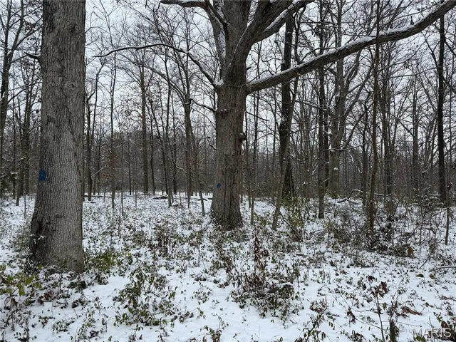 $228,000 | 3040 Texaco Lane, Salem, IL 62881