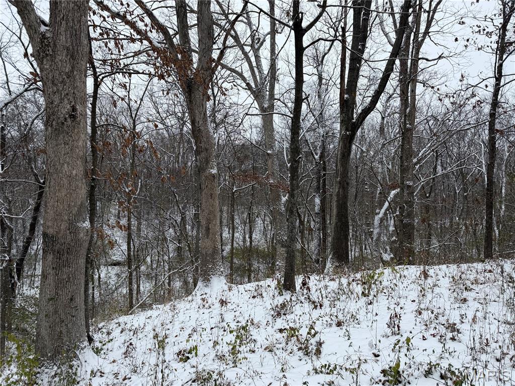 3040 Texaco Lane Salem, IL 62881 - Photo 93 of 98