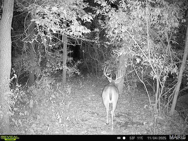 3040 Texaco Lane Salem, IL 62881 - Photo 95 of 98