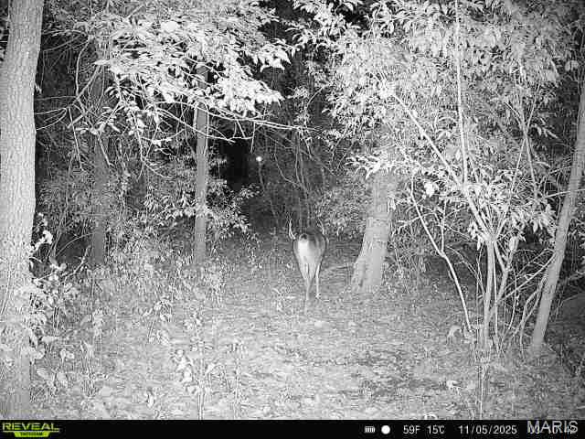 3040 Texaco Lane Salem, IL 62881 - Photo 96 of 98