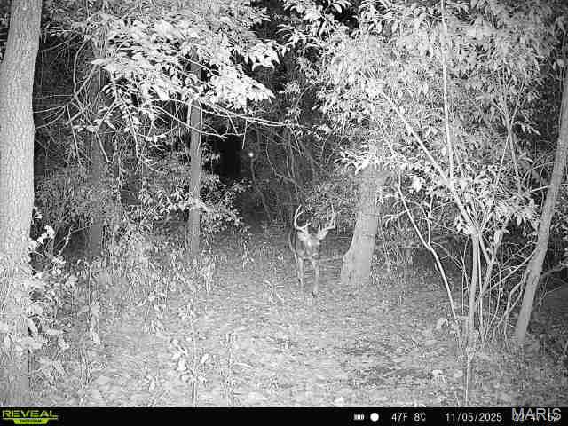 3040 Texaco Lane Salem, IL 62881 - Photo 97 of 98