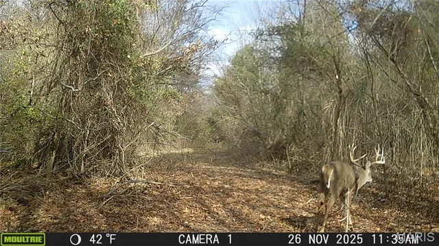 $228,000 | 3040 Texaco Lane, Salem, IL 62881