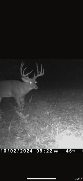 3040 Texaco Lane Salem, IL 62881 - Photo 10 of 98