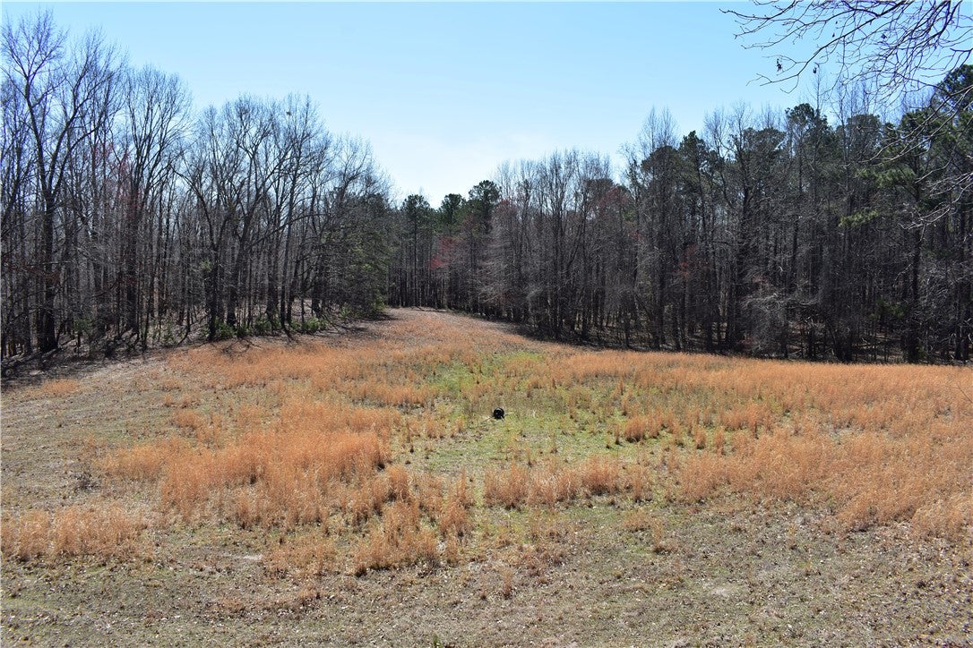 0 Oaks Chapel Road Goodwater, AL 35072 - Photo 9 of 19 Gallery Image 9